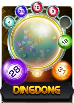 dingdong